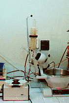 Le labo